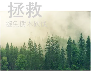 森林示意